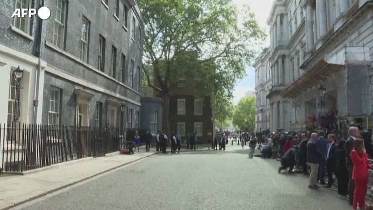 Londra, il gatto Larry "attende" Biden sul tappeto rosso di Downing Street