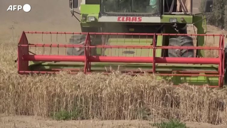 Onu: "Allarme fame sempre alto, colpiti in 735 milioni"