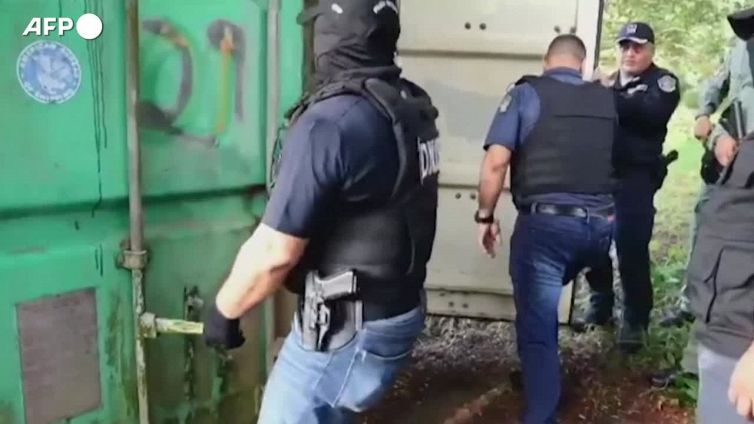 Sequestrate sei tonnellate di pinne di squalo a Panama, cinque arresti