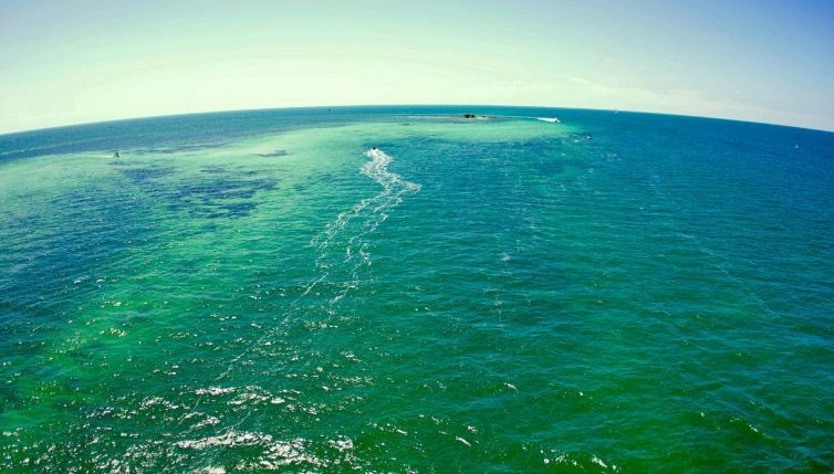 Verde come gli oceani: perché il mare sta cambiando colore ovunque