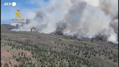 Spagna, vasti incendi devastano La Palma: evacuati 2.500 abitanti