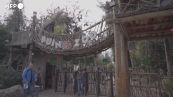Cile, cucciolo di asino somalo nuova attrazione allo zoo di Buin