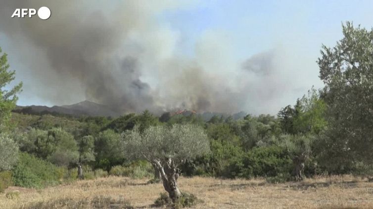 Rodi, gli incendi devastano l'isola per l'ottavo giorno consecutivo