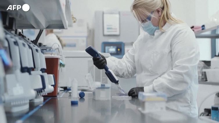 Iniezioni di mRna per trapianti di midollo piu' facili