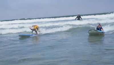 Surf, cani sulla cresta dell'onda in California