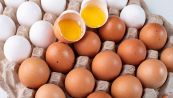L'incredibile trucco per capire se le uova sono fresche o scadute