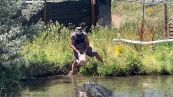 Dà da mangiare all'alligatore: quello che succede è da paura