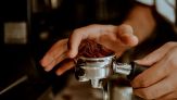Il caffè sparirà per sempre: la previsione da brivido