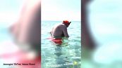 Vasco Rossi gioca in mare con una medusa: "Sto palleggiando"