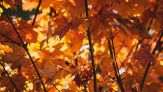Cosa succede al prossimo equinozio d'autunno e quando cade