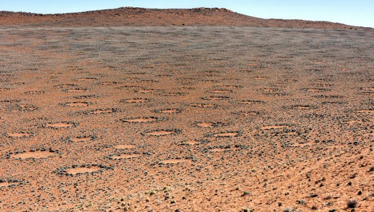 I misteriosi cerchi delle fate trovati in tutto il mondo