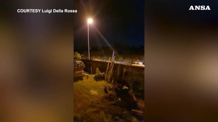 Il momento della cattura del leone a spasso per Ladispoli
