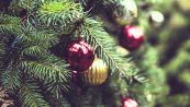 Il trucco del rosmarino per infoltire l'albero di Natale