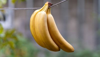 Scoperto il modo migliore per conservare le banane: dimentica tutti gli altri trucchi