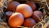 Come capire se un uovo è ancora fresco