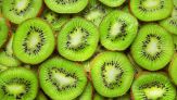 Dove piantare il kiwi a casa e come si coltiva questo super frutto magico