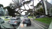 Roma: l'albero si schianta su due macchine al semaforo