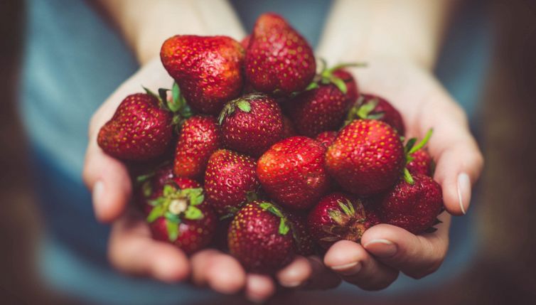 Fragole sempre fresche in casa: come si coltivano e quali sono i trucchi per farle crescere