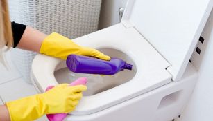 Come pulire il water con un cacciavite: il trucco per far splendere il bagno