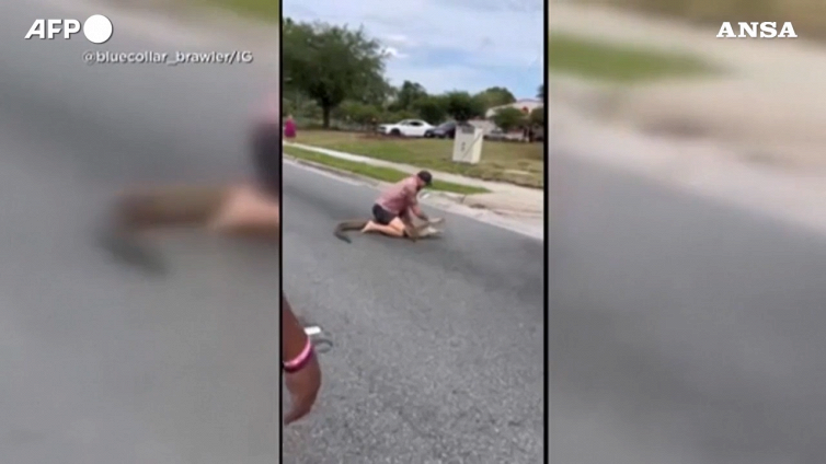 Florida, cattura un alligatore dalla strada a mani nude