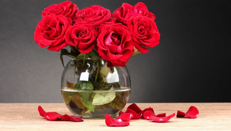 Come si piantano le rose