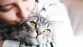 Cinque cose che solo chi ha un gatto può capire