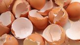 Gusci d’uovo per un bucato più bianco: il trucco delle nonne e dei TikToker