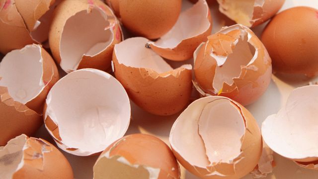 Metti gusci d’uova in lavatrice