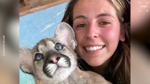 Ragazza si fa i selfie con gli animali selvatici