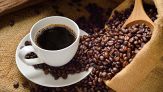 Arriva il caffè sintetico: quello naturale potrebbe sparire per sempre