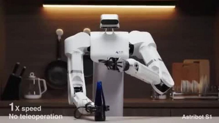 La 'casalinga' del futuro sarà un Robot?