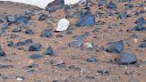 Mistero su Marte: scoperta una roccia bianca, la prima mai trovata