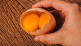 Doppio tuorlo in un uovo, qual è il significato?