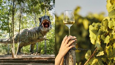 Il vino è nato grazie ai dinosauri e alla loro estinzione
