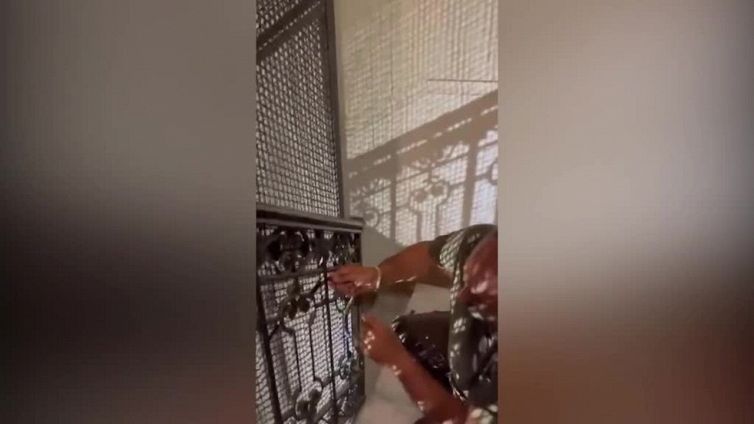 Paura in un condominio a Roma: dal vano ascensore spunta un serpente