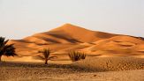 Il deserto del Sahara è sempre più verde: è un cattivo presagio