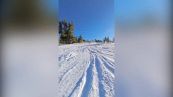 Sbowboarder si scontra con orso sulla pista da sci: schianto da paura