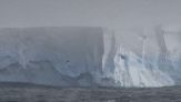 L'iceberg piu' grande del mondo minaccia la fauna selvatica di un'isola