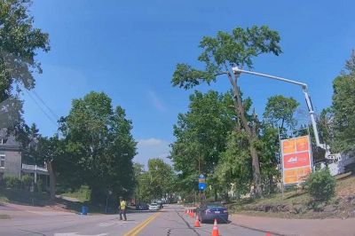 Taglia il ramo dell'albero e combina un disastro