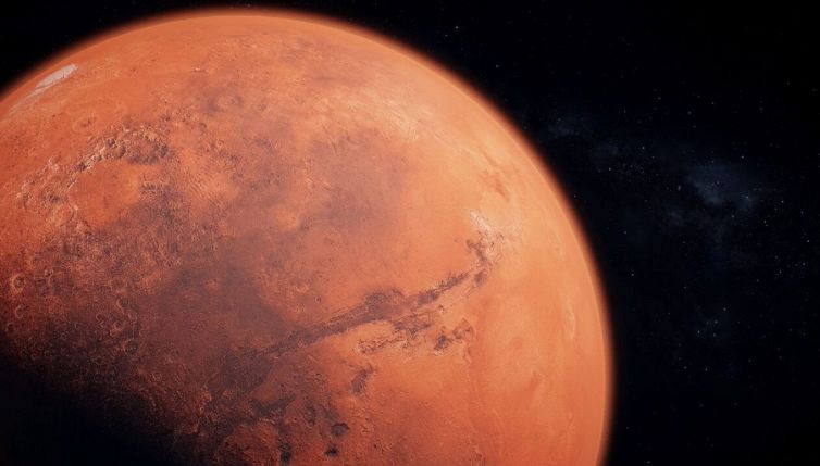 “Uova di ragno” su Marte fotografate dal rover Perseverance: cosa sono