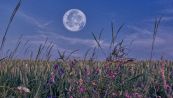Luna Rosa 2025, la microluna della primavera: quando vederla