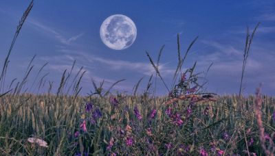 Luna Rosa 2025, la microluna della primavera: quando vederla