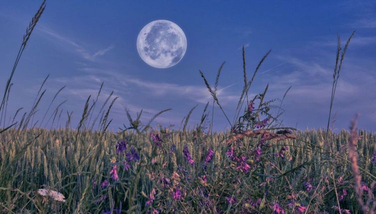 Luna Rosa 2025, la microluna della primavera: quando vederla