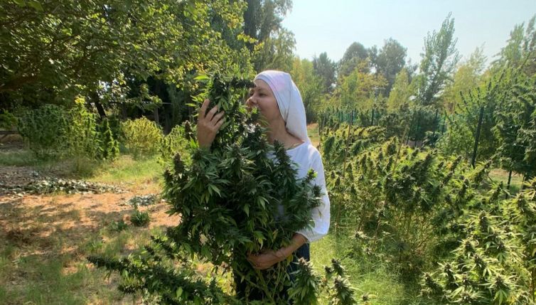Le suore che coltivano cannabis: per cosa lo fanno