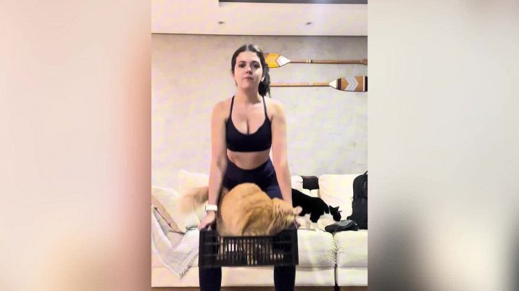 Il sollevamento pesi con il gatto è tutto da ridere
