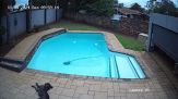 Tutto è calmo in piscina quando accade il disastro