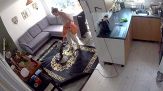 Il tappeto si muove da solo: il fenomeno paranormale diventa virale