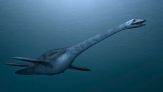 Scoperto un nuovo mostro marino, è il misterioso Traskasaura