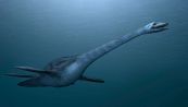 Scoperto un nuovo mostro marino, è il misterioso Traskasaura