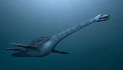 Scoperto un nuovo mostro marino, è il misterioso Traskasaura